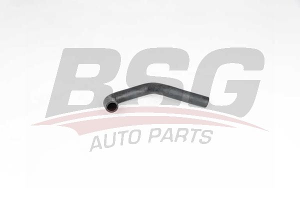 BSG 65700358 Termostat Hortumu