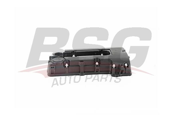BSG 65122013 Külbütör Kapağı