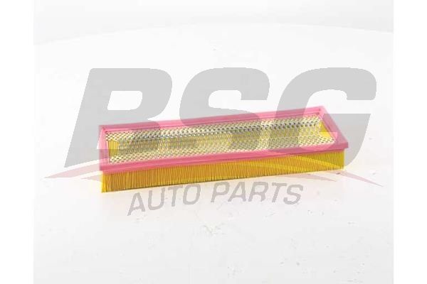BSG 60135040 Hava Filtresi