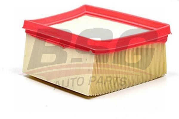 BSG 30135026 Hava Filtresi