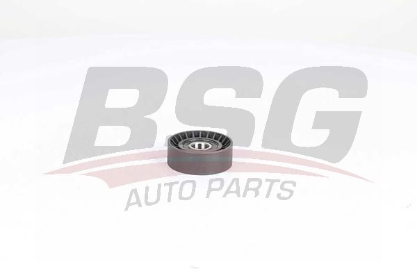 BSG 25615005 V Kayış Gergi Rulmanı