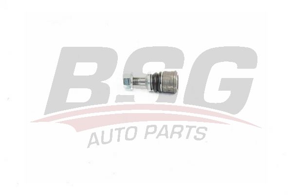 BSG 60315057 Ara Rotil