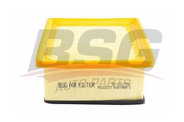 BSG 70135001 Hava Filtresi