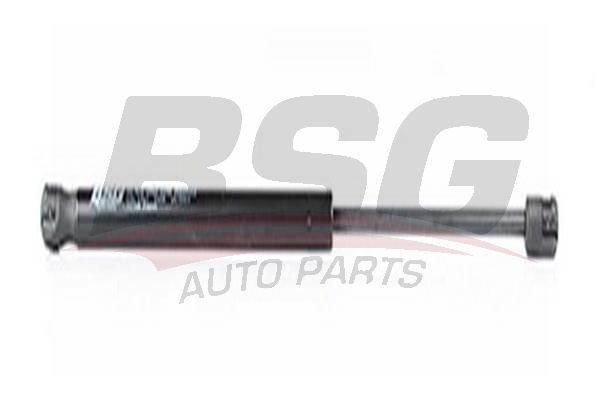 BSG 90980029 Bagaj Amortisörü