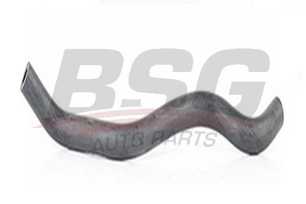BSG 65720142 Termostat Hortumu