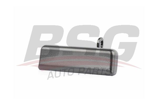 BSG 30970023 Kapı Dış Açma Kolu Arka