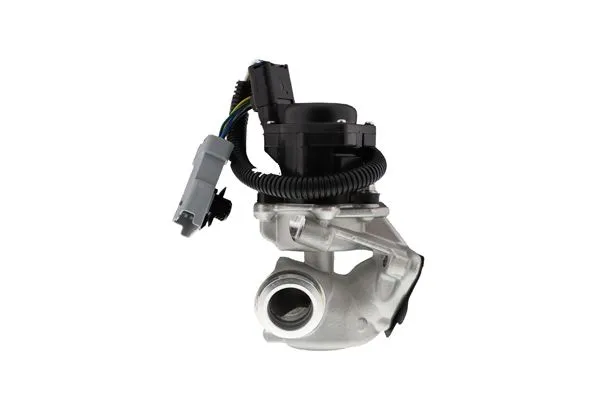 AIS EGRAZ7046 Egr Valfı