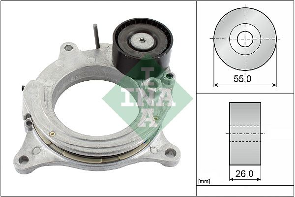 INA 534069210 V Kayış Gergisi Komple
