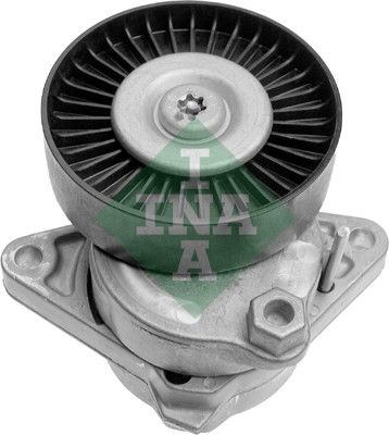 INA 534011420 V Kayış Gergisi Komple