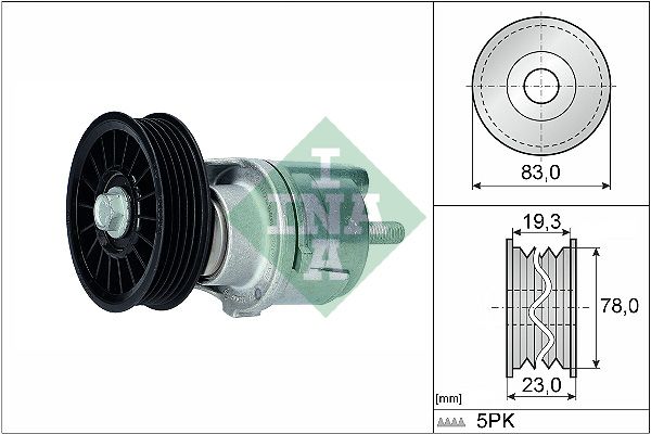 INA 534018510 V Kayış Gergisi Komple
