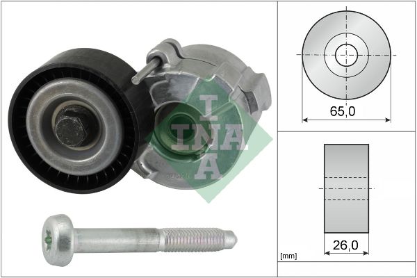 INA 534061010 V Kayış Gergi Rulmanı