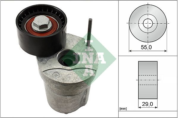 INA 534032010 V Kayış Gergisi Komple