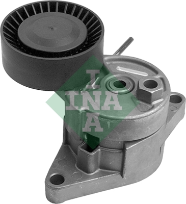 INA 534010410 V Kayış Gergisi Komple - . Görsel