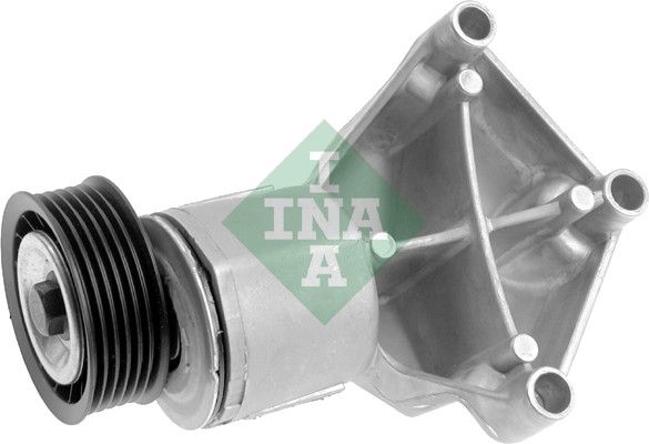 INA 534013120 V Kayış Gergisi Komple