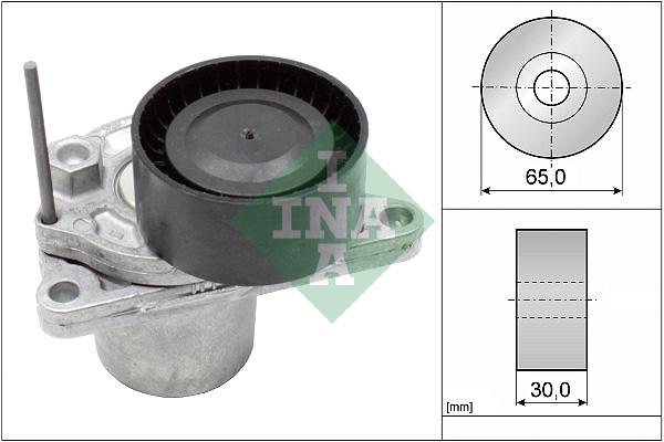INA 534062410 V Kayış Gergisi Komple - . Görsel