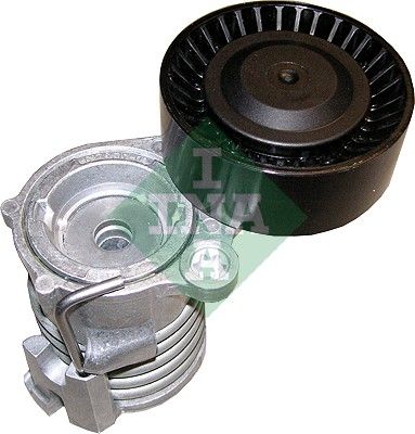 INA 534029610 V Kayış Gergisi Komple