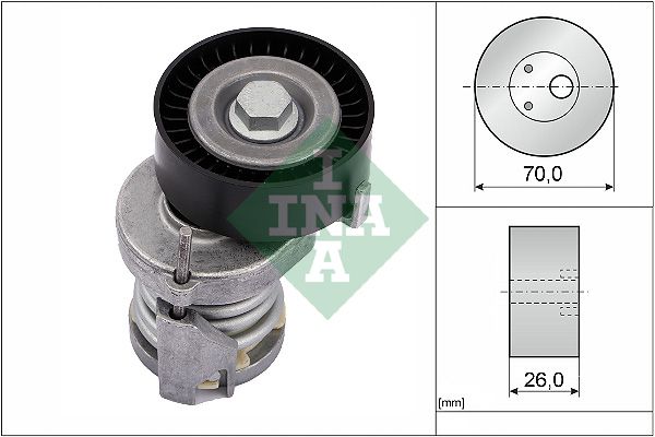 INA 534012320 V Kayış Gergisi Komple