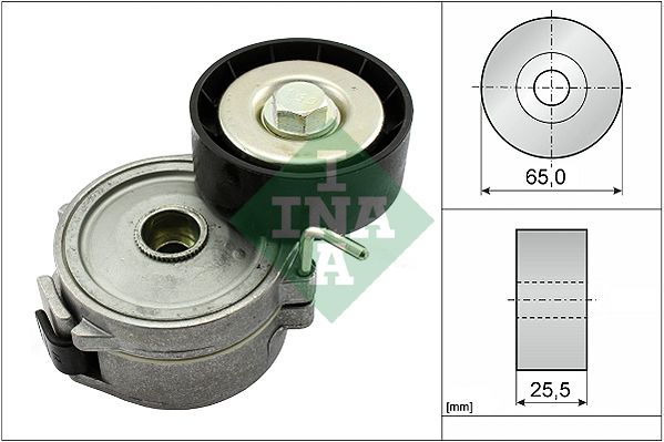 INA 534006810 V Kayış Gergisi Komple