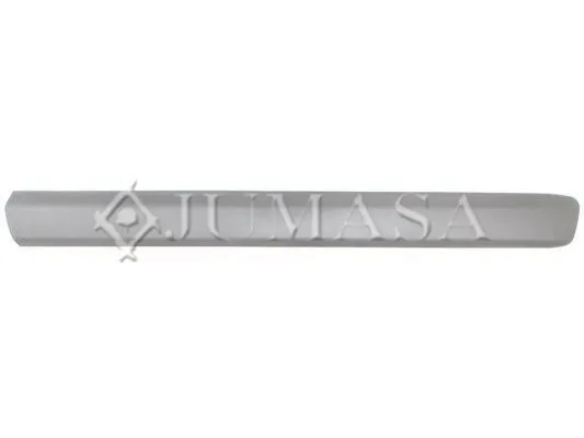 Kapı Bandı Ön Sağ BSG 25-922-106