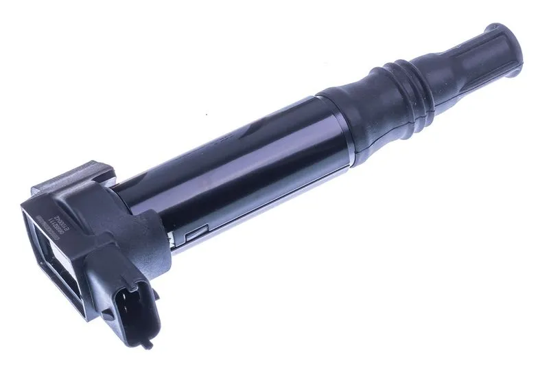 Ateşleme Bobini  BSG 70-835-012