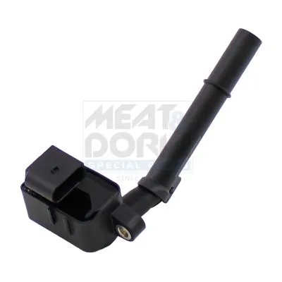 Ateşleme Bobini  BSG 75-835-003