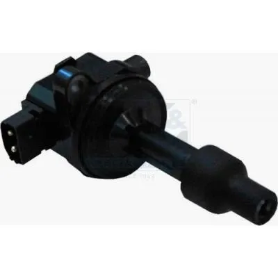 Ateşleme Bobini  BSG 95-835-004