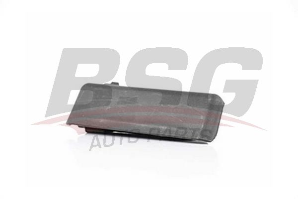 BSG 30970037 Kapı Dış Açma Kolu Ön Sol