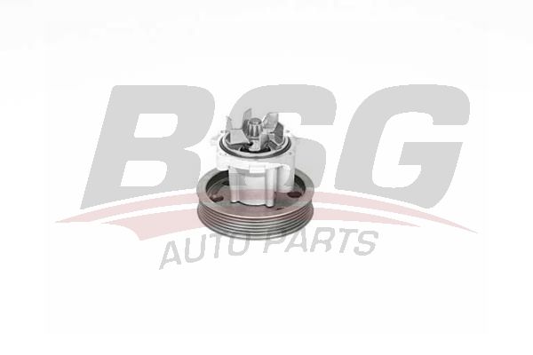 BSG 25500001 Devirdaim