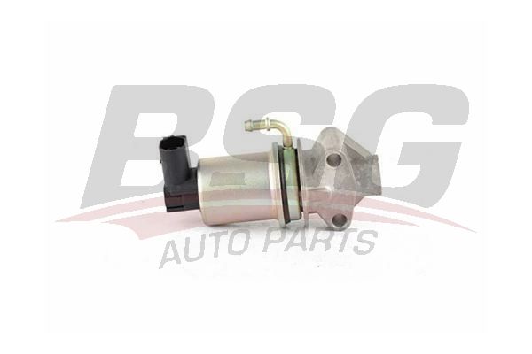 BSG 90836002 Egr Valfi - . Görsel