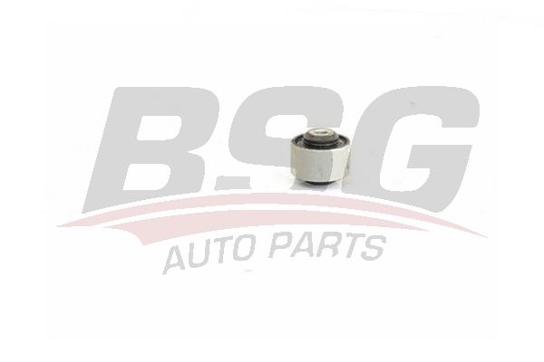BSG 90700208 Salıncak Burcu