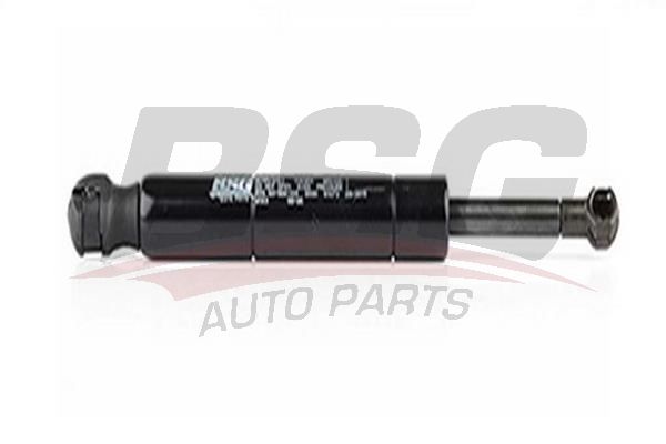 BSG 60980008 Motor Kaput Amortisörü - . Görsel