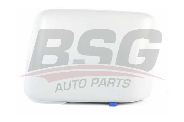BSG 65915018 Ayna Kapağı Sol