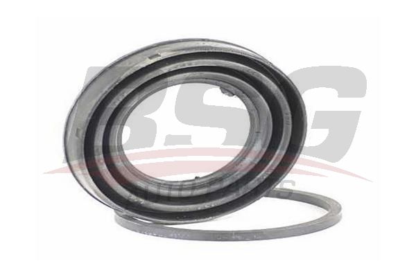 BSG 30251024 Kaliper Tamir Takımı Arka
