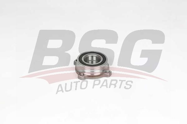 BSG 15600001 Porya Arka