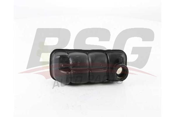 BSG 60550008 Radyatör Yedek Su Deposu
