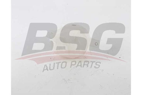 BSG 70550012 Radyatör Yedek Su Deposu - . Görsel