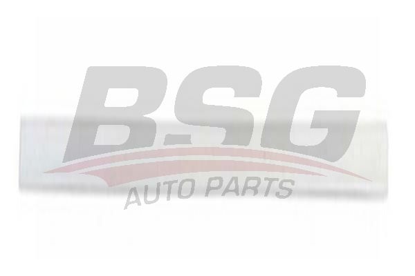 BSG 65924007 Kapı Bandı Ön Sağ
