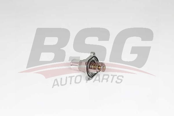 BSG 65126011 Termostat - . Görsel