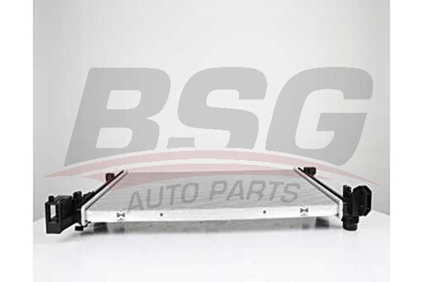 BSG 60520048 Su Radyatörü - . Görsel