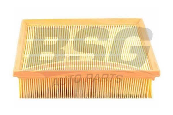 BSG 90135002 Hava Filtresi