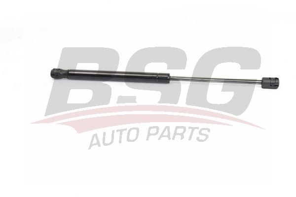 BSG 15980019 Motor Kaput Amortisörü