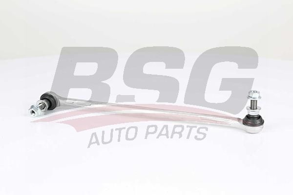 BSG 15310194 Viraj Askı Rotu Ön Sol