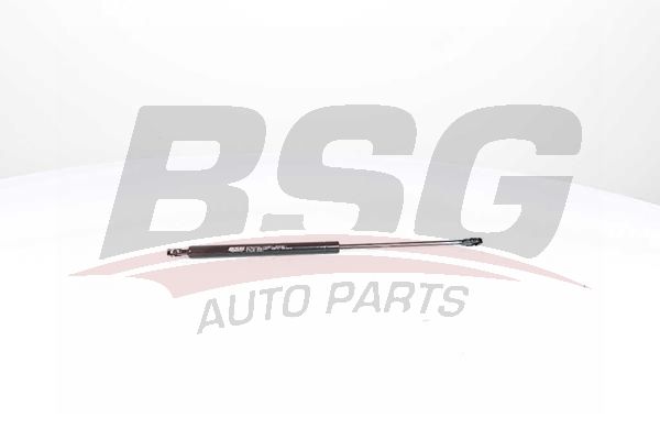 BSG 15980004 Motor Kaput Amortisörü