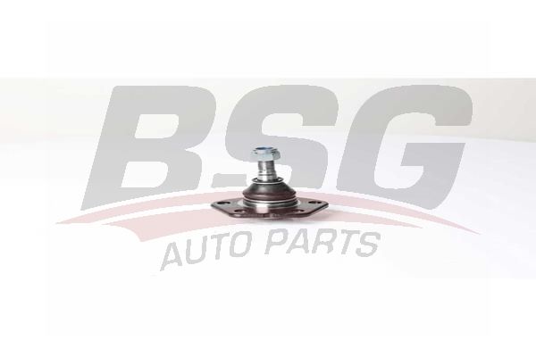 BSG 25310031 Rotil Alt