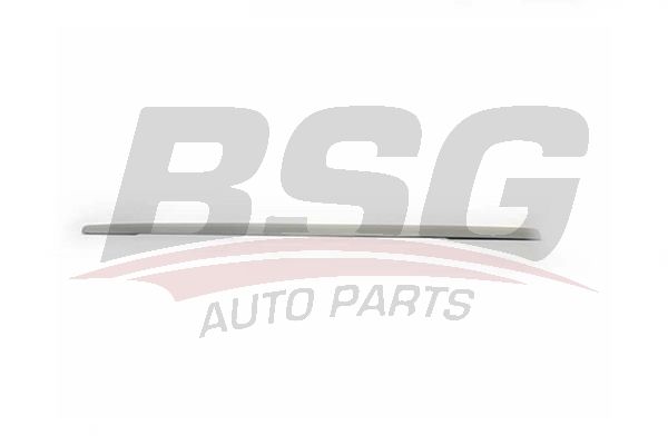 BSG 90924038 Kapı Bandı Ön Sağ