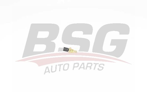BSG 60840013 Hararet Müşürü - . Görsel