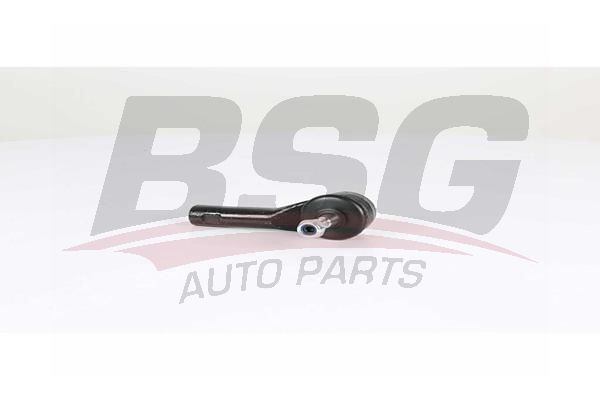 BSG 25310017 Rot Başı Sağ