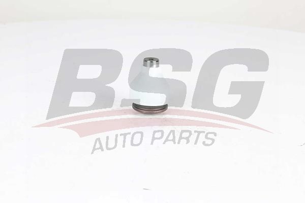 BSG 75310039 Rotil Alt