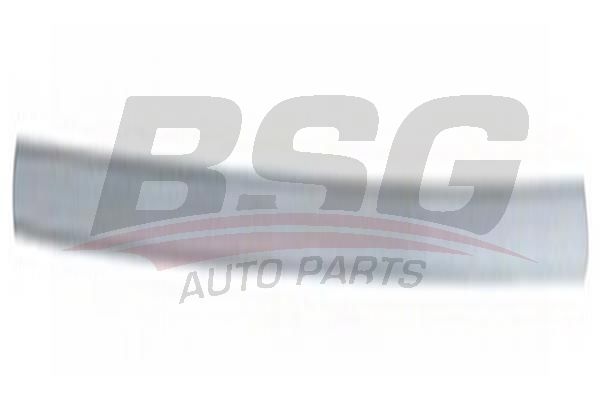 BSG 30924047 Kapı Bandı Ön Sol