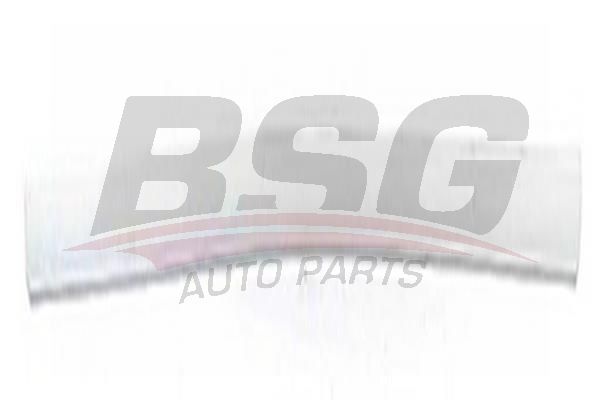 BSG 65925028 Kapı Bandı Ön Sağ